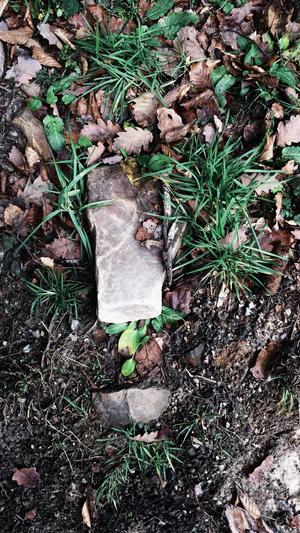 万里长征 - 黑料不打烊截图3